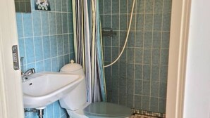 Une salle de bain avec des toilettes, un lavabo et une douche.