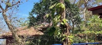 Saboga Beachfront Villa - Island Getaway for 11