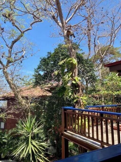 Saboga Beachfront Villa - Island Getaway for 11
