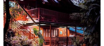 Eco-Cabin apartment inside Cloudforest
