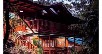 Eco-Cabin apartment inside Cloudforest