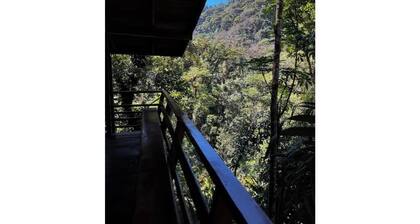 Unique eco-cabin inside cloudforest “PILA”