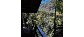 Unique eco-cabin inside cloudforest “PILA”
