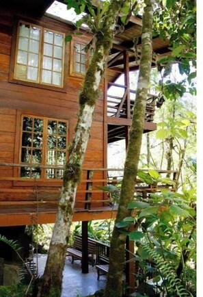 Terrace/patio - Unique eco-cabin inside cloudforest “PILA” (Cerro Punta)