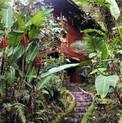 Unique eco-cabin inside cloudforest “PILA”
