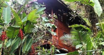Unique eco-cabin inside cloudforest “PILA”