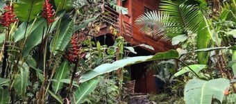 Unique eco-cabin inside cloudforest “PILA”