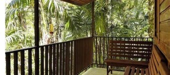 Cabin inside cloudforest “PILA”