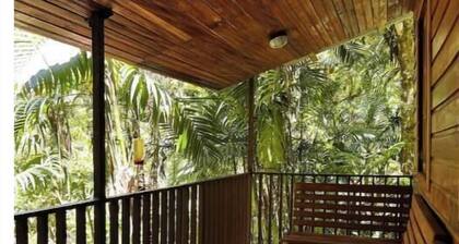 Cabin inside cloudforest “PILA”