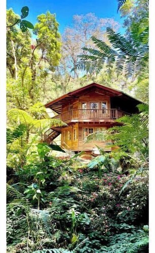 Eco-Cabin in Cerro Punta