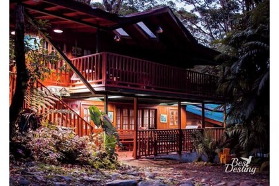 Cabin inside cloudforest “PILA” floor 1