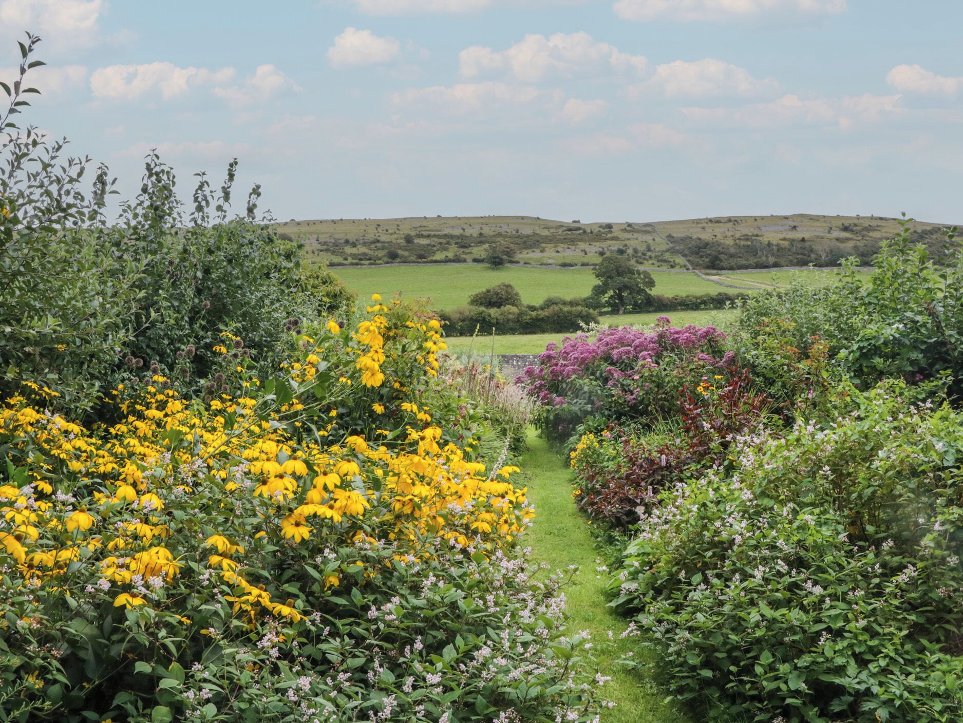 المنطقة المحيطة بالمنشأة