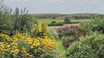 Overnatningsstedets område