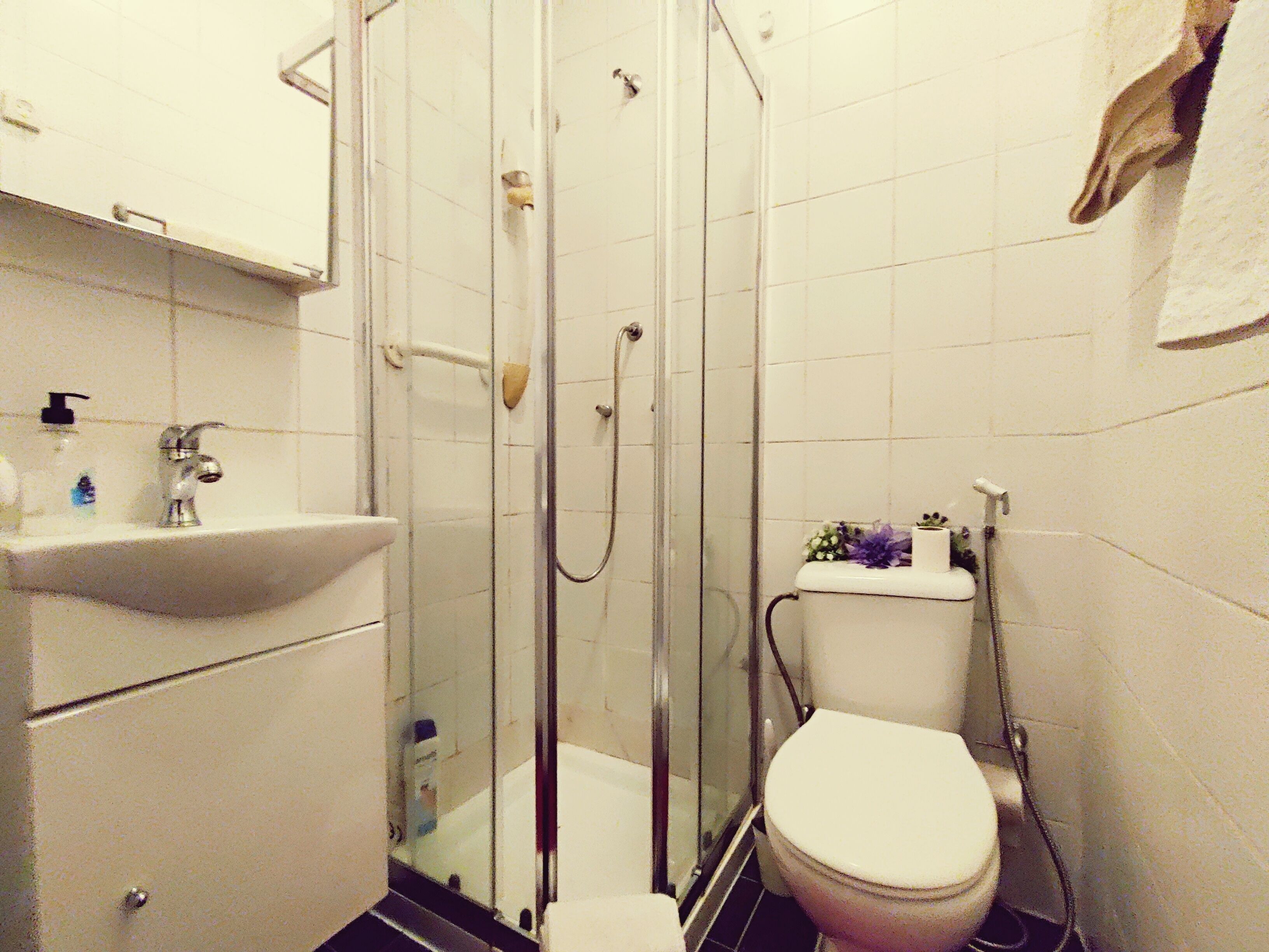 A bathroom with a glass-enclosed shower, a sink, and a toilet.