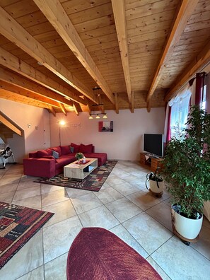 Fernseher