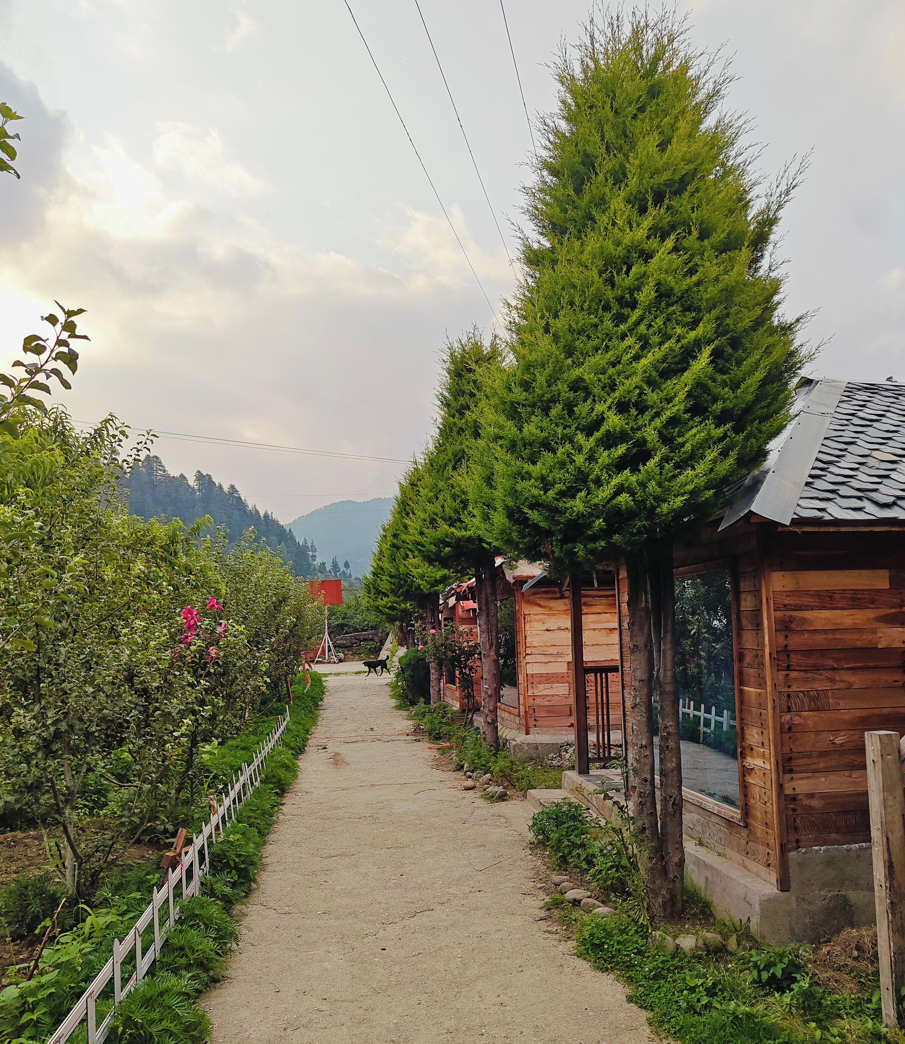 Garden View Swiss Camps | Garden view