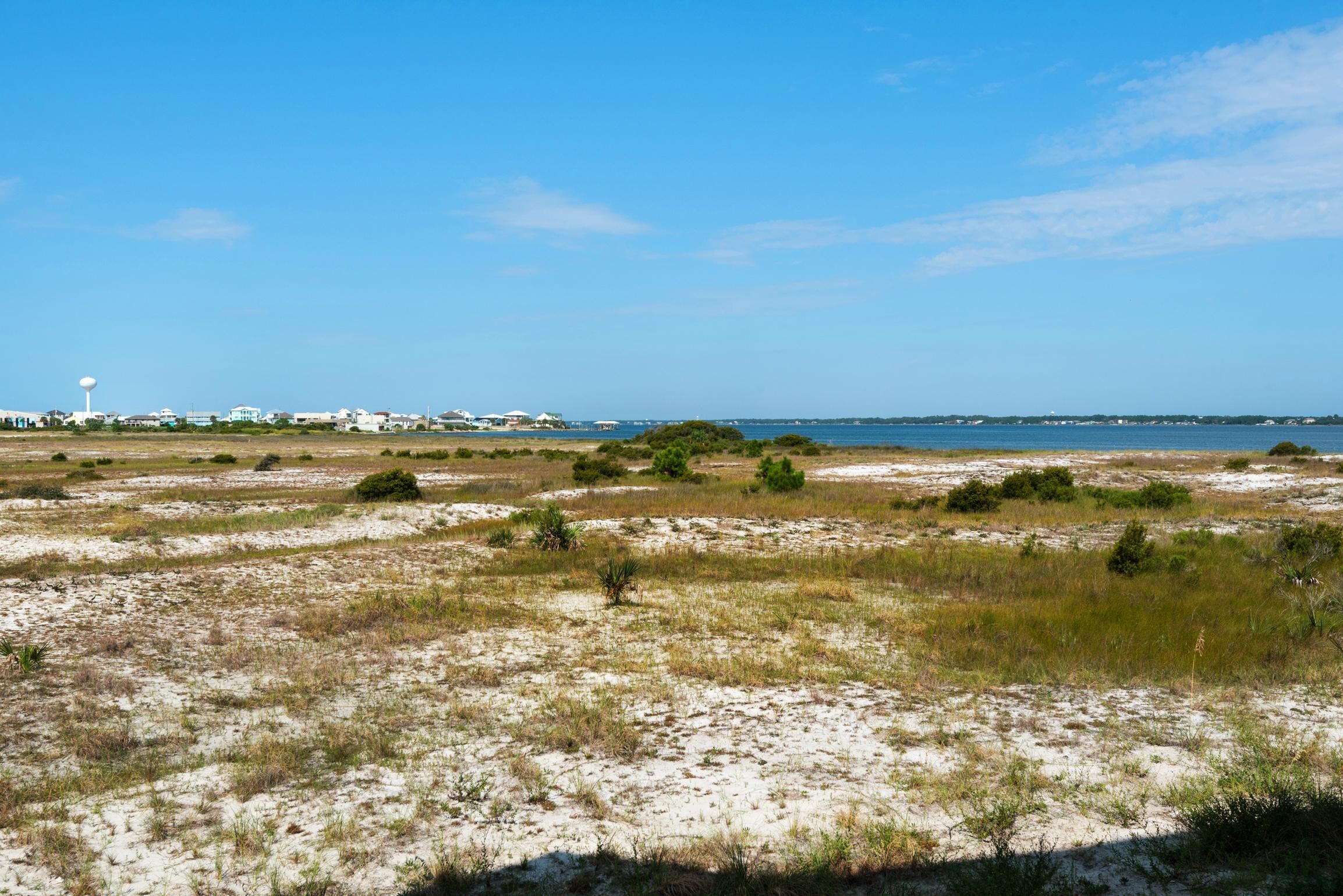 A coastal landscape with sparse vegetation and a distant view of buildings.