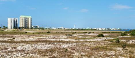 Condo, Multiple Beds (Gulf Island 314) | Miscellaneous