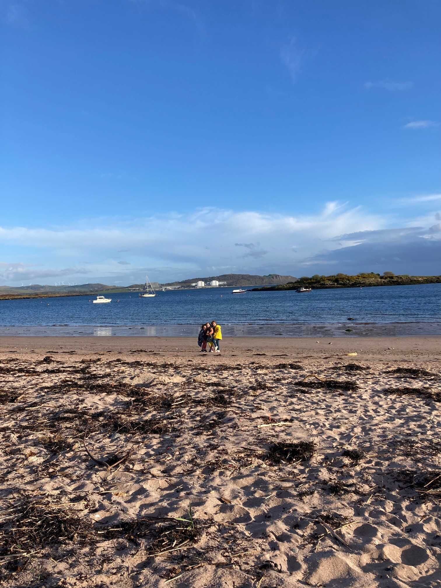A beach with sand, seaweed, and a group of people in the distance.