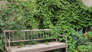 Un banco de madera con estructura metálica, rodeado de abundante follaje verde y una planta en maceta.
