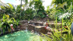 Uklassifisert bilde, 3 av 47, knapp