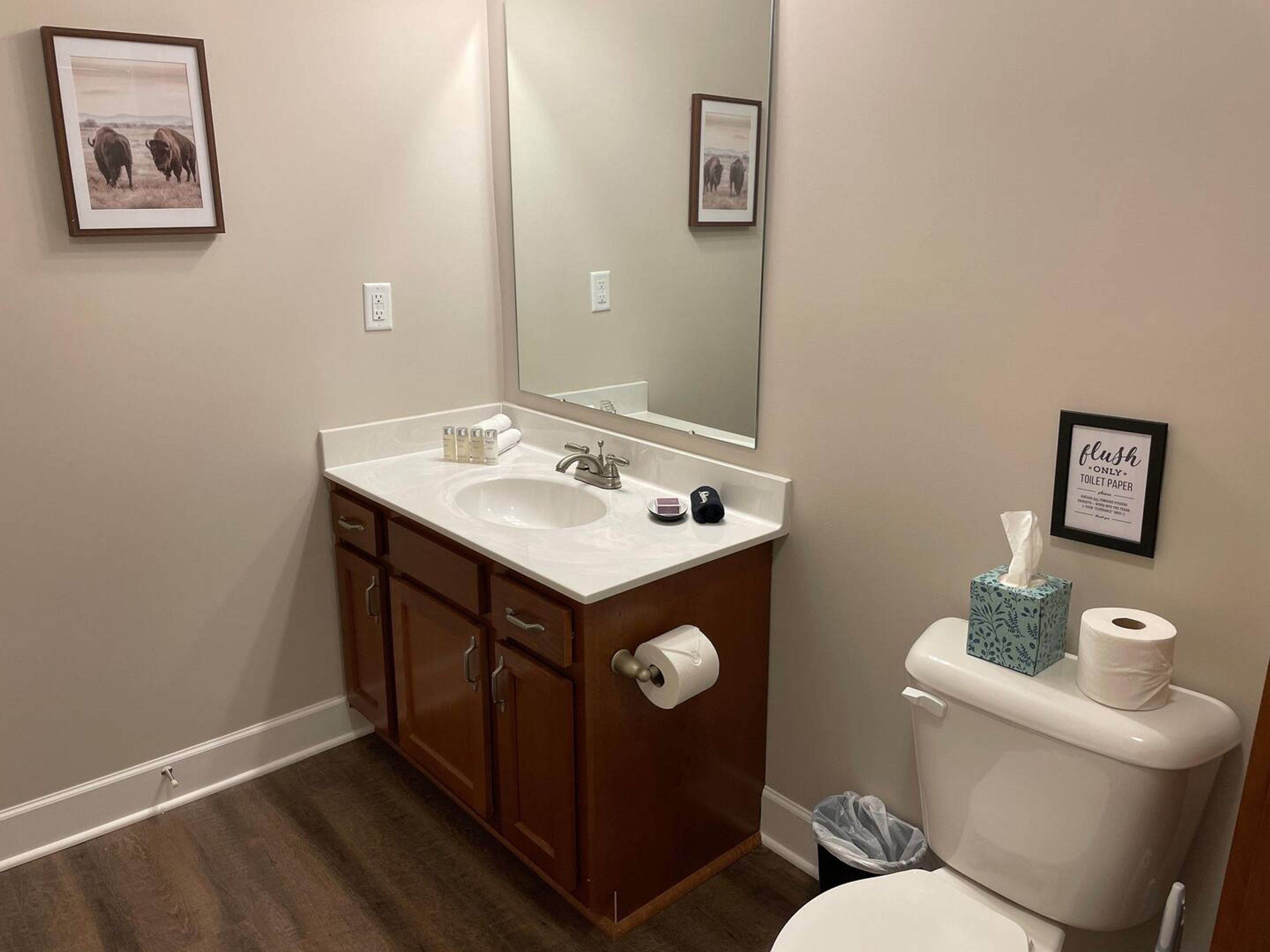 A bathroom with a white sink, mirror, and toilet. There are framed pictures on the wall and a sign that says "flush only toilet paper".