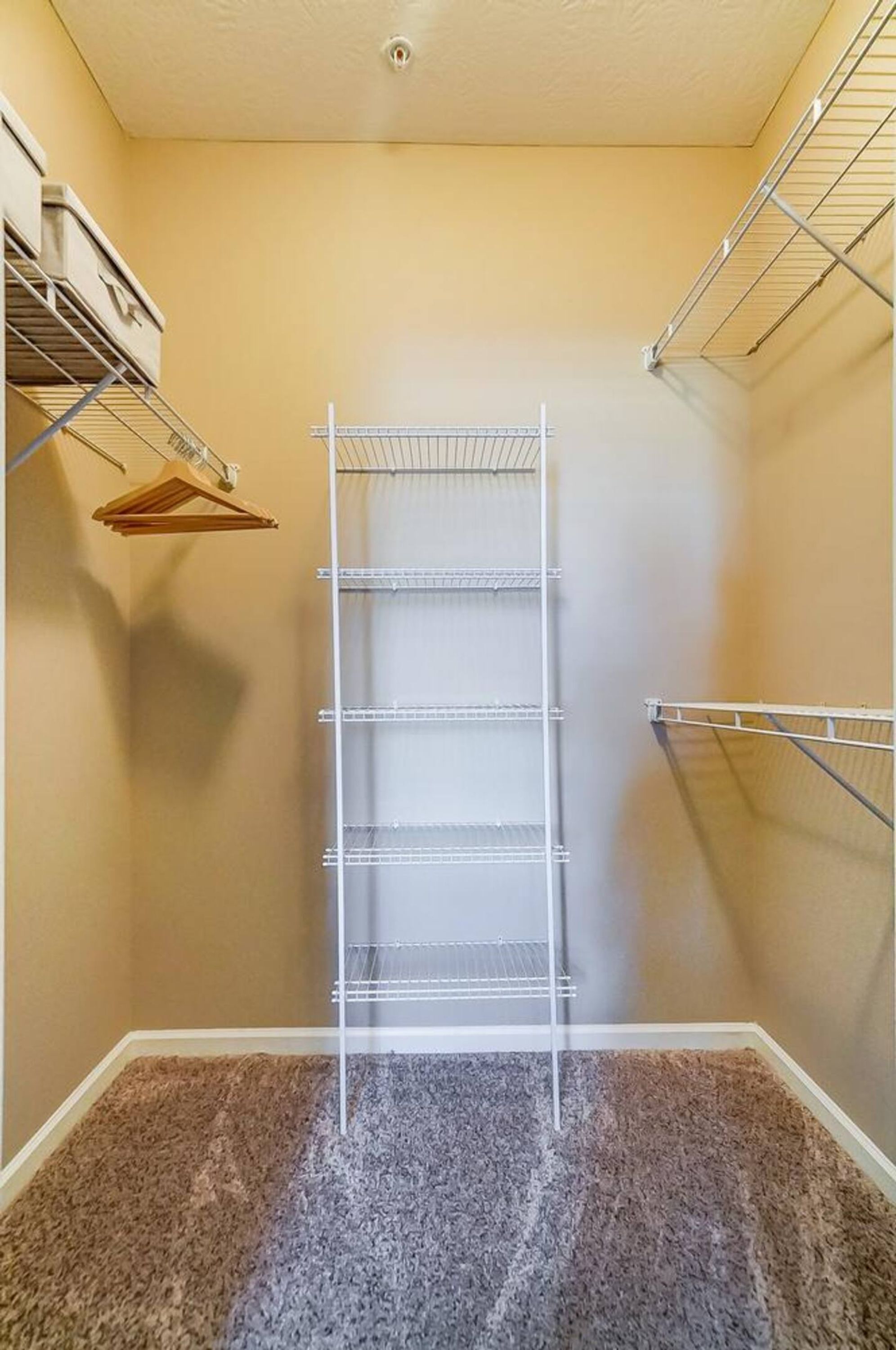 A corner closet with a metal shelving unit, a wooden hanger, and a carpeted floor.