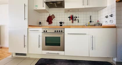 Fantastic apartment with small terrace in the heart of Freiburg