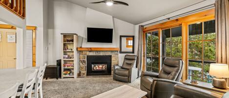 Televisión, chimenea, libros