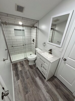 Regadera, tina de hidromasaje, secadora de cabello, bidet 