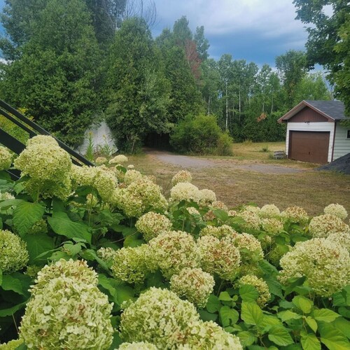 Beautiful country house in the woods