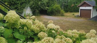 Beautiful country house in the woods