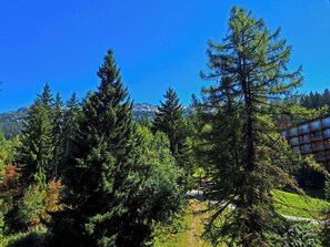 Property grounds - Breathtaking view of Mont-Blanc, calm assured (Bourg-Saint-Maurice)