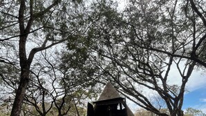A rustic wooden structure with a conical roof, surrounded by trees.