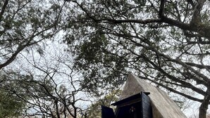 A rustic wooden structure with a slanted roof, possibly a cabin or shelter, surrounded by trees and dry grass.
