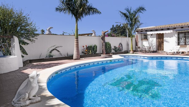 A swimming pool with a curved edge, surrounded by a white wall with decorative elements, a palm tree, and a building with a tiled roof. - Casa Pepe: Rural Home with Pool & Air Conditioning in Conil (Conil de la Frontera)