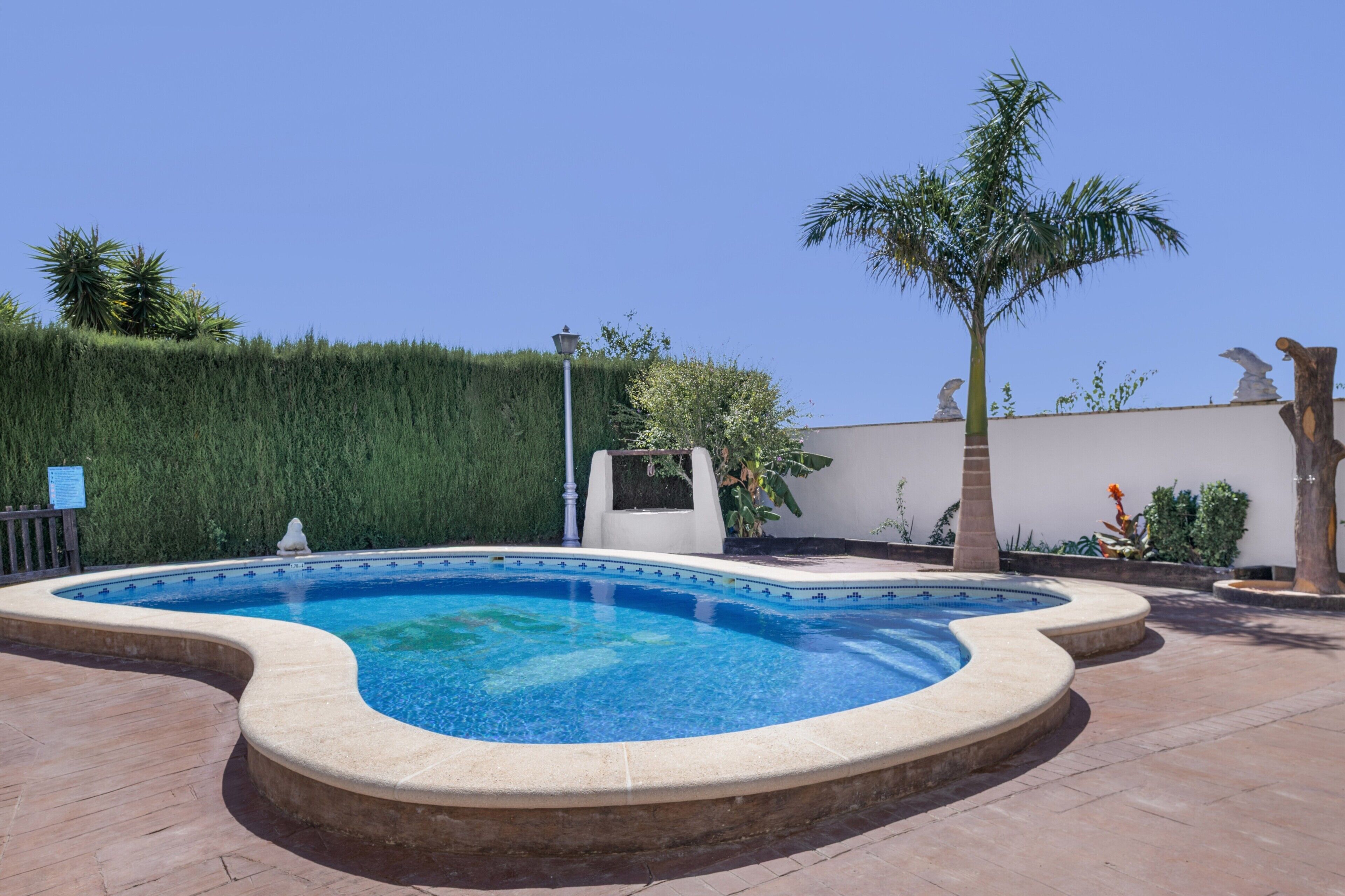 A swimming pool with a curved edge, surrounded by a tiled deck, a palm tree, and a hedge.