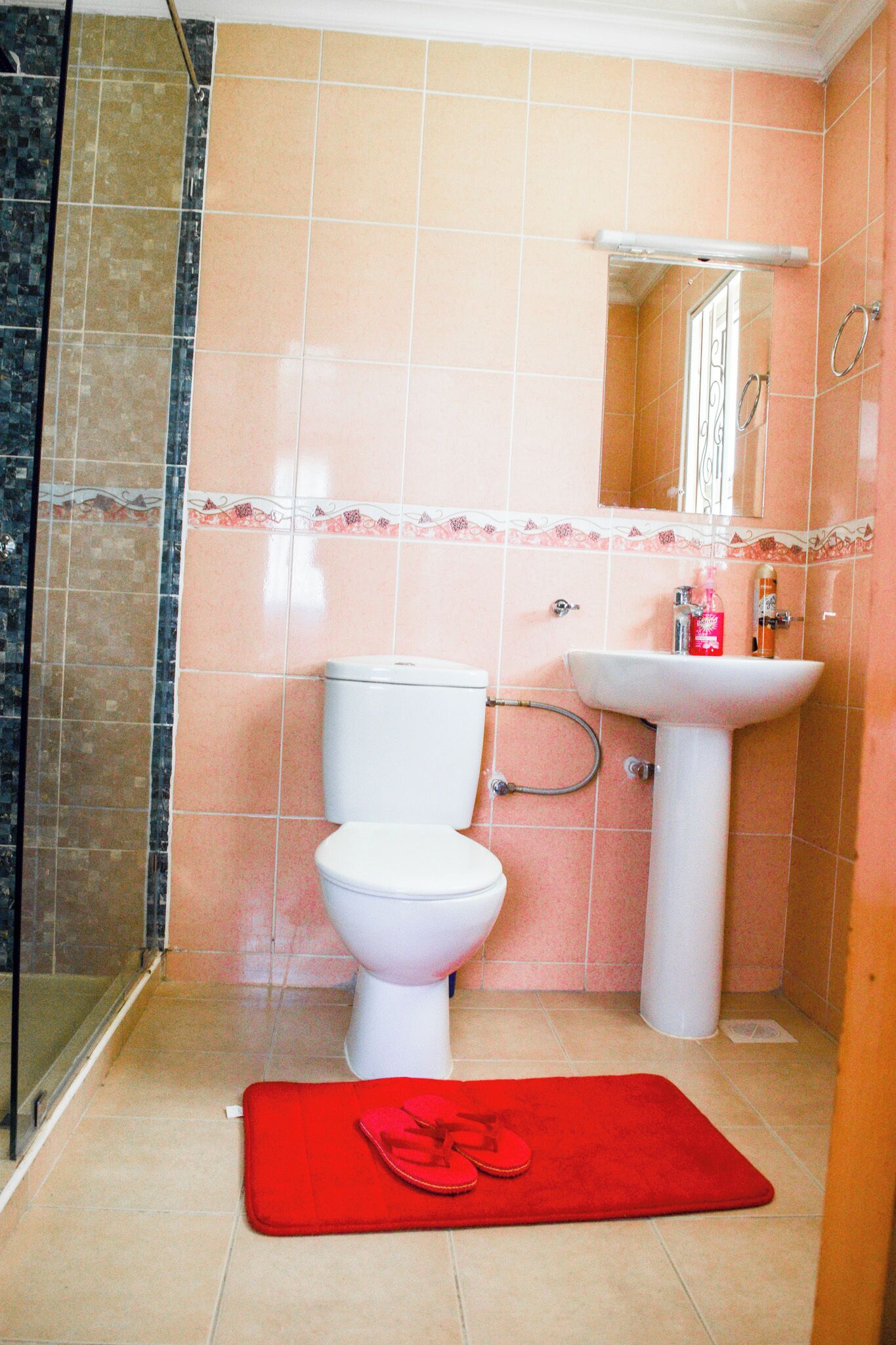 Hair dryer, towels, soap, toilet paper