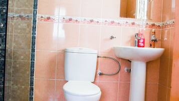 Hair dryer, towels, soap, toilet paper