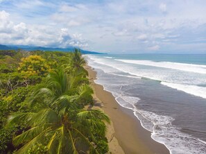 A beach with palm trees and ocean waves. - Villa del Río (Savegre)