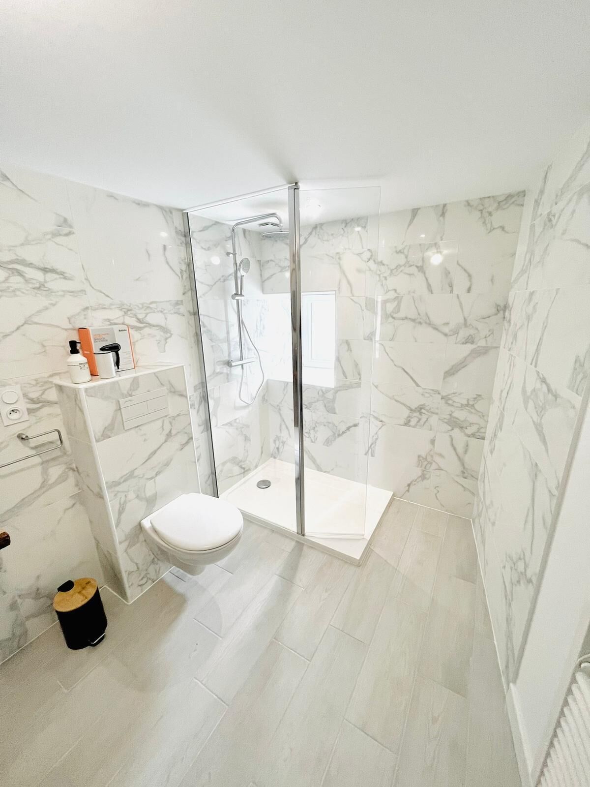 Shower, hair dryer, toilet paper