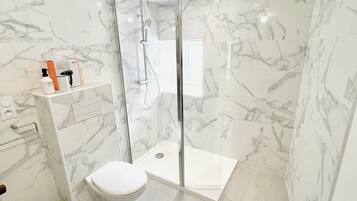 Shower, hair dryer, toilet paper