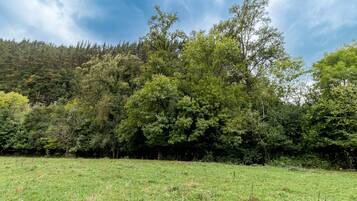 A grassy field with trees and a hill in the background.