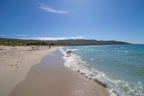 Playa en los alrededores 