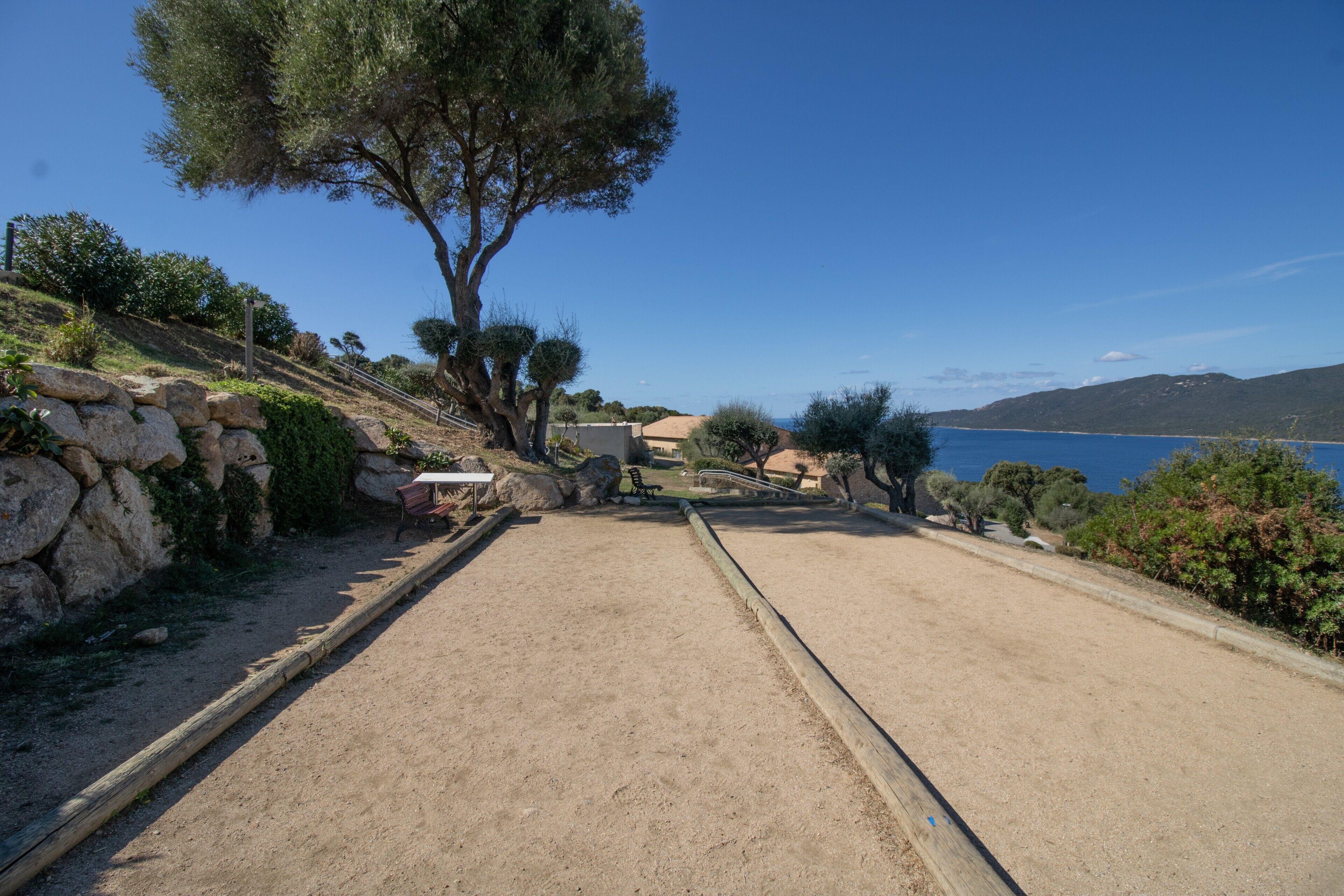 Eine Küstenlandschaft mit einem Feldweg, der zu einem Strand führt, umgeben von Bäumen und einer Steinmauer.
