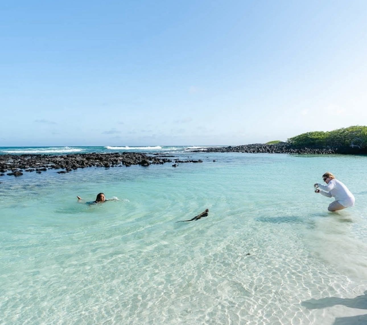 A clear beach with people swimming and snorkeling.