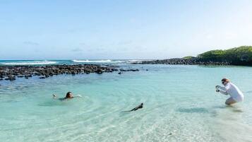 A clear beach with people swimming and snorkeling.