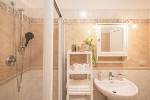 Shower, bidet, towels, soap