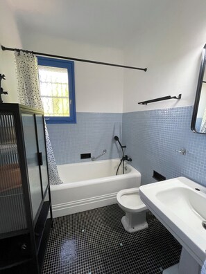 Shower, hair dryer, bidet, towels