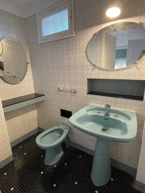 Shower, hair dryer, bidet, towels